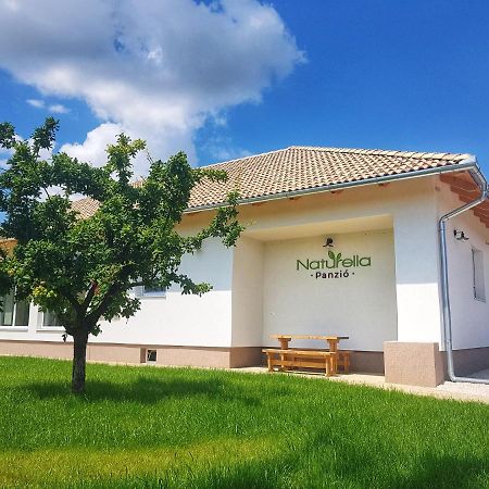 Naturella Panzio Villany Ngoại thất bức ảnh